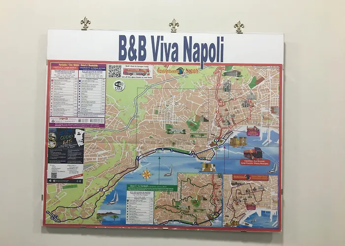 Hotel vicino al College: B&B Viva Napoli