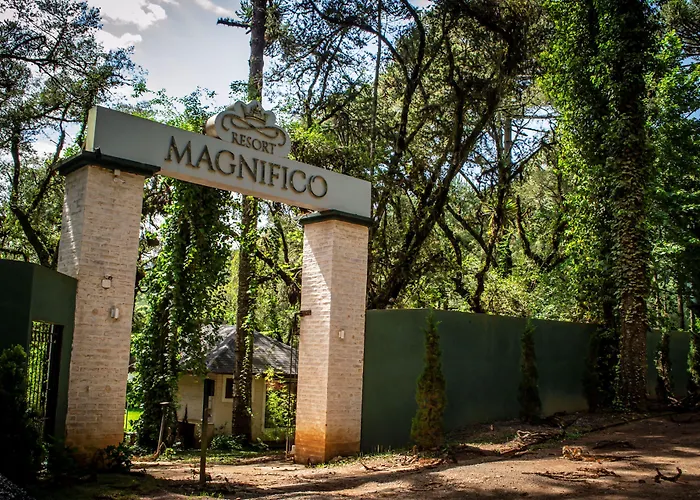 Magnifico