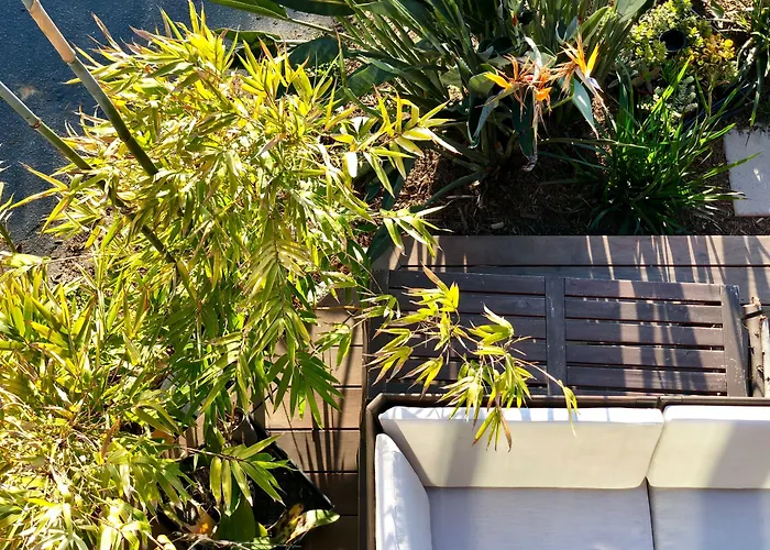 Inn At Moonlight Beach