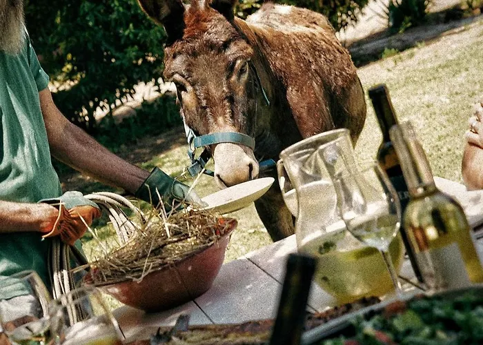 Hotel que aceita animais de estimação: Cabra - Porto Covo