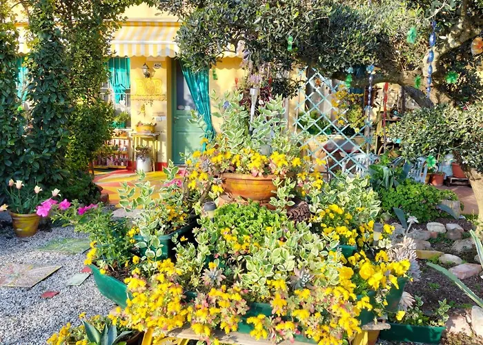 Peschi In Fiore