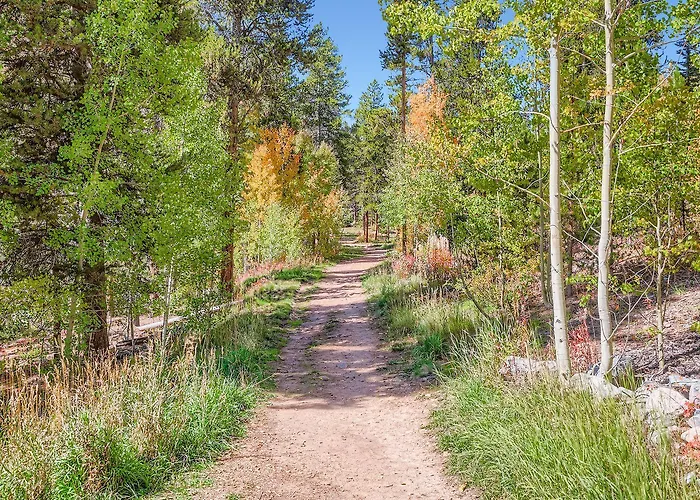 Beaver Run Resort 4228 - Dog Friendly