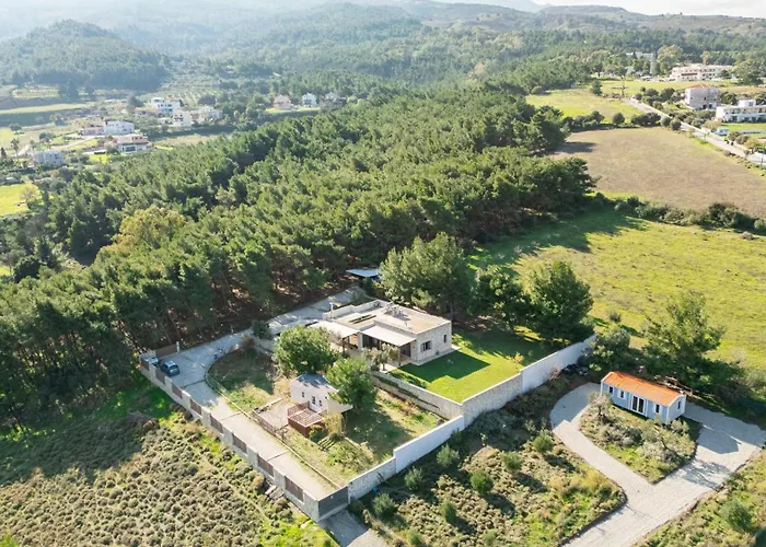 The Forest Villa