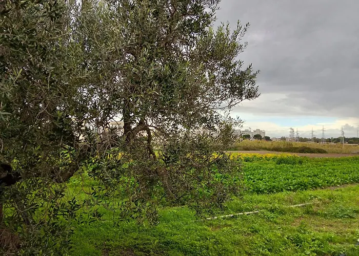 Hotel: B&B Da Gino