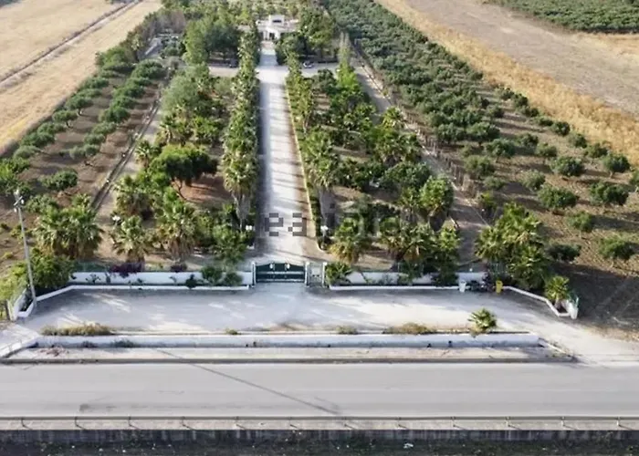 Villa delle Palme Delfina - parking Piscina a 10 minuti dal centro e dal mare