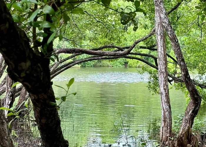 Aaryana Lagoon