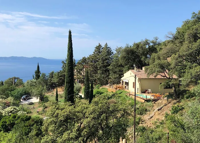 Nouveau ! Pleine Nature Et Vue Mer Au Lavandou