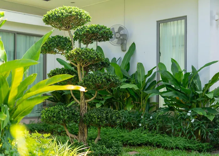 Coconut Villa Phuket Free Airoport Pick Up From 7 Days