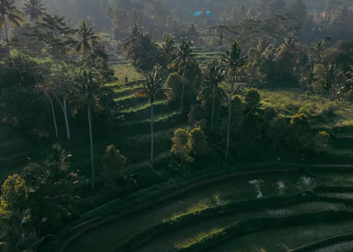 Vishala Retreat Bali