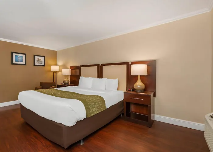 Pet Friendly hotel: Comfort Inn Oceanside Deerfield Beach
