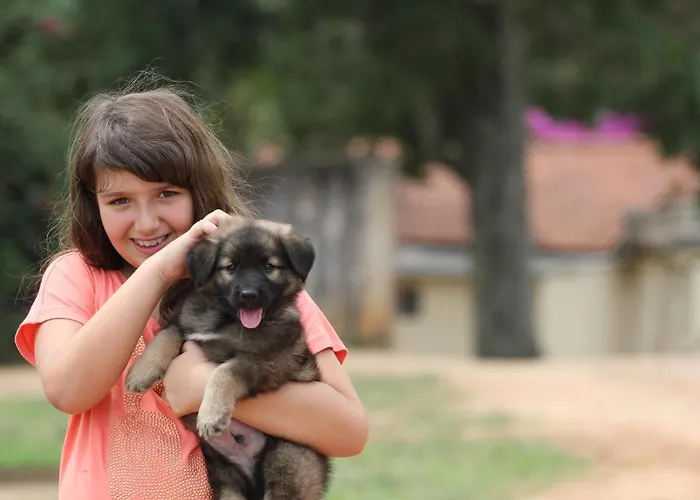 Big Valley Hotel Fazenda