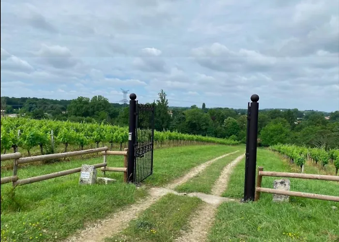 FABULEUX - Domaine du Moulin D'Andraut Bordeaux-Chevaux-Golf-St Emilion