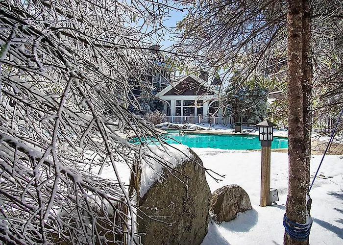 Ski In/Out! 1 Bed 1 Bath Slope Views Allegheny Springs 238