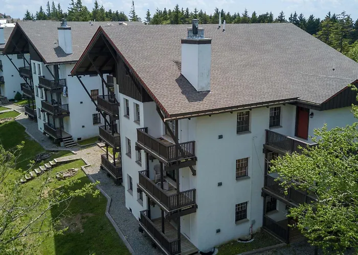 Whistlepunk #11: 2 Bedroom, 2 Bath: Wood Fireplacecentral Location