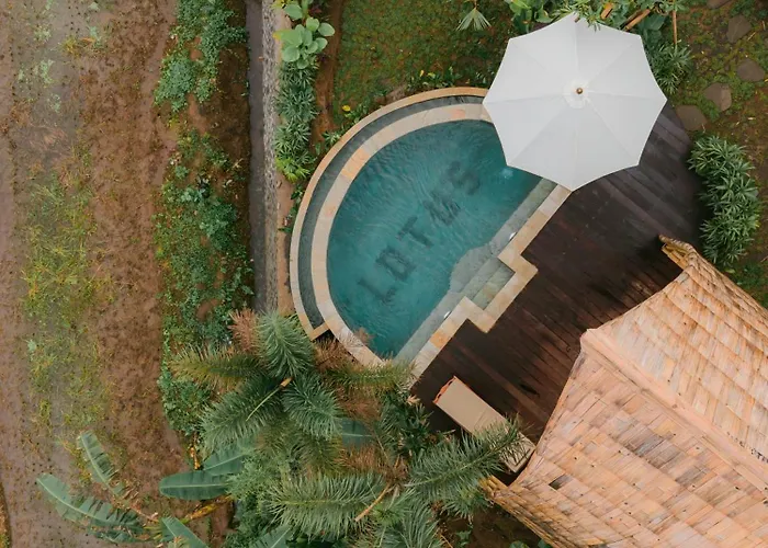 Lotus Bamboo House By Arcada Bali