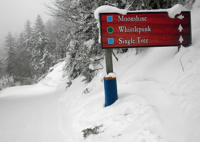 Whistlepunk #12: 4 Bedroom, 3 Bath: Slope Side, Wood Fireplace