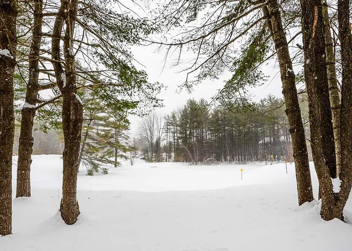 3 Mi To Story Land: All-Season Family Condo