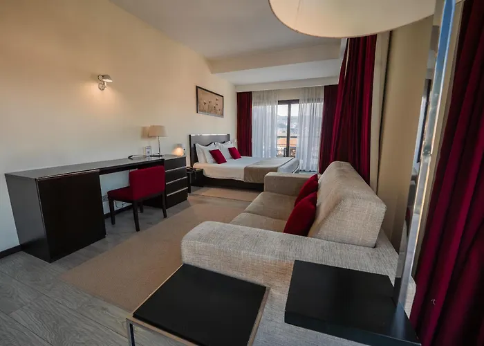 Hotel que aceita animais de estimação: Hotel S Pedro - Arouca