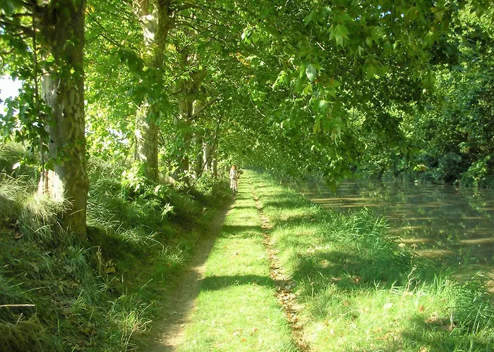 location Phoebé dans la propriété Elaia