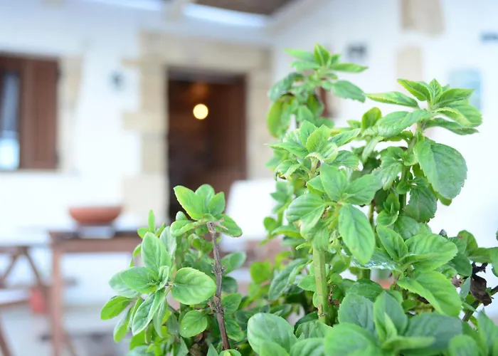 Anemolia Villa