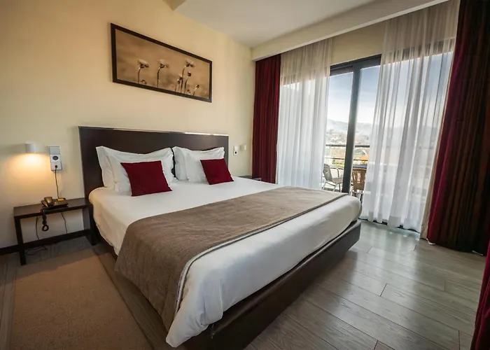 Hotel que aceita animais de estimação: Hotel S Pedro - Arouca