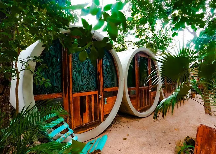 Hotel que admite mascotas: Tubo Tulum Hostel