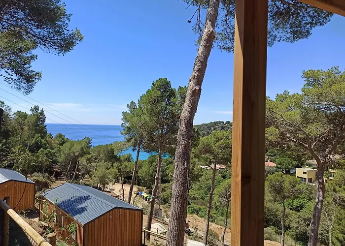 Hôtel de plage: Camping Cala Llevado