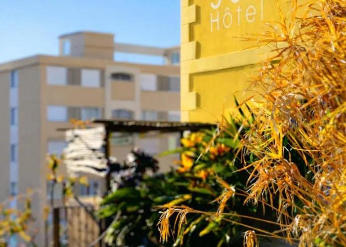 Hôtel accueillant les animaux: Sud Hôtel Restaurant