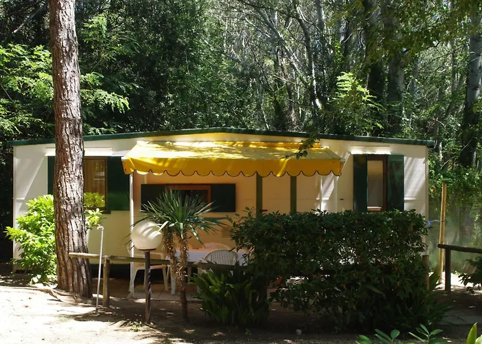 Hotel vicino al College: Holiday Center Valdor