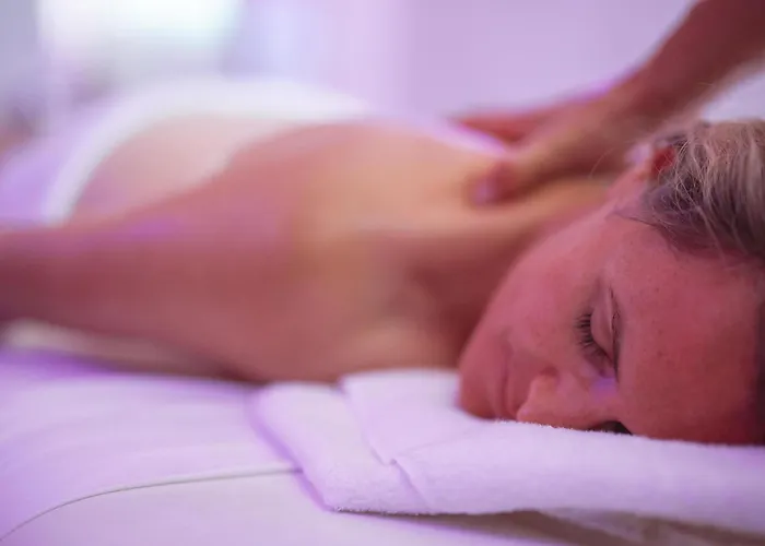 Hôtel de luxe: Ibis Thalassa Hyeres Plage