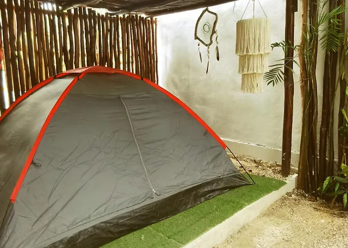 Hotel que admite mascotas: Tubo Tulum Hostel