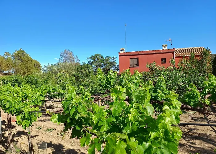 Casa Rural La Escuela Caravaca