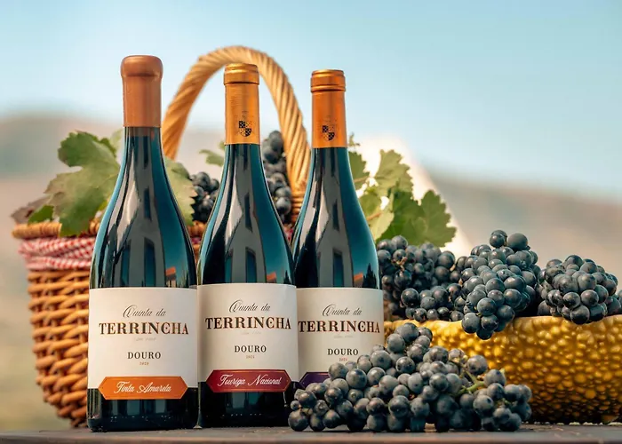 Quinta Da Terrincha