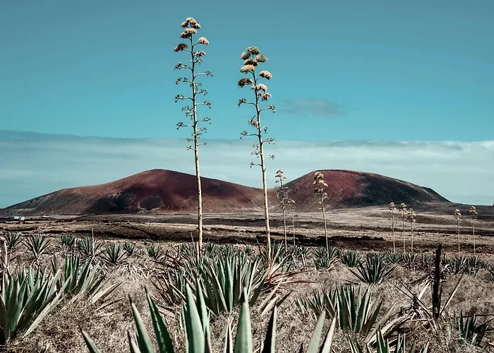 Kunuk Fuerteventura