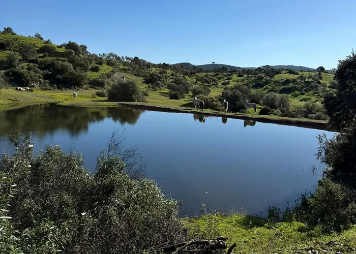 Finca Jaralta de Carmen
