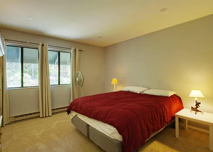 Whd41 Waterville Valley Pet Friendly Waterville Valley Condo