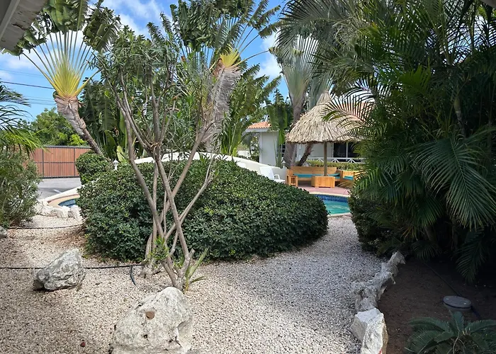 Blue Marlin Apartments, Nabij Mambo Beach
