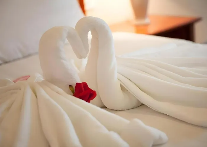 Cwd Hotel