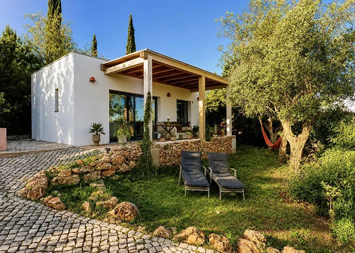 Gato Preto De Silves - Adults Only