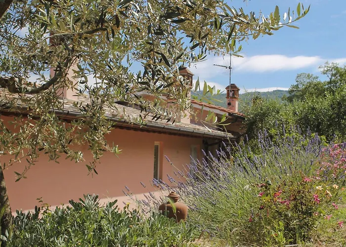 Tuscany Roses