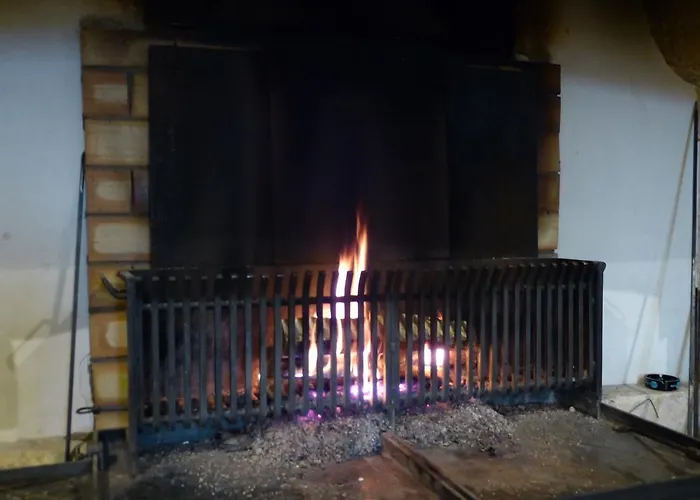 Animaux admis D'Isnard