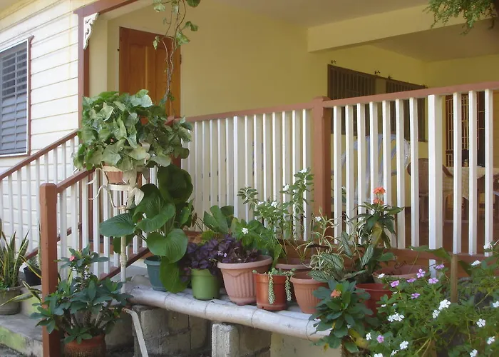 Finjam Cottage