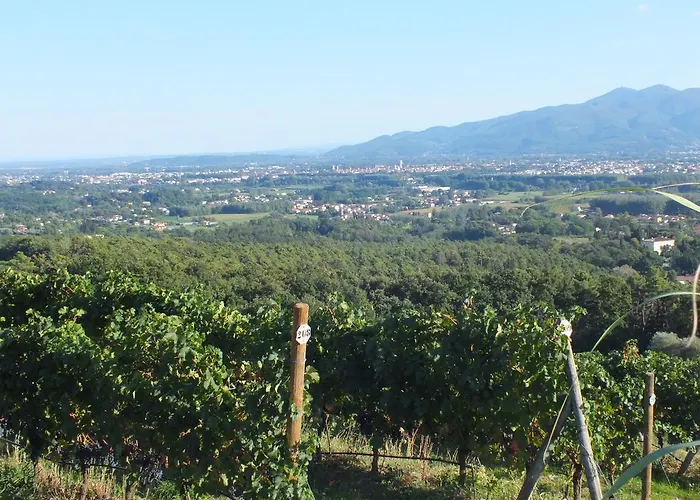 Villa Casetta