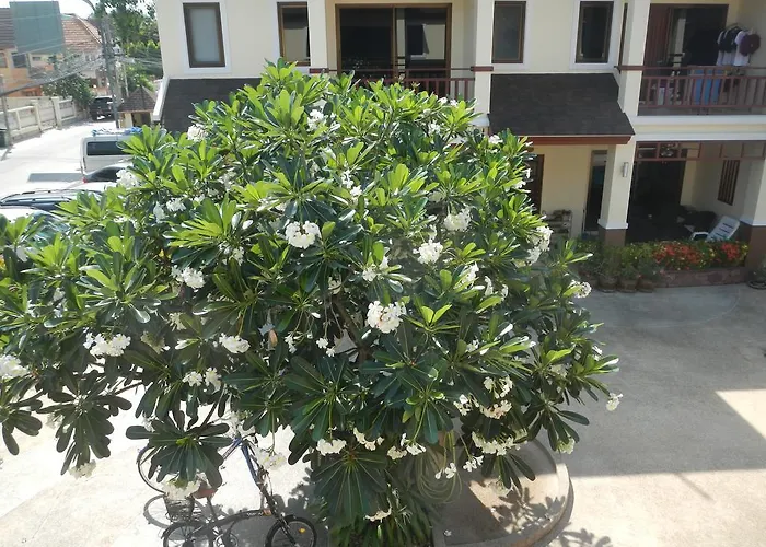 Organgrinder Thai Paradise South