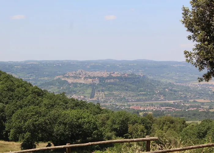 Casa vacanza: Agriturismo Fattoria Poggio Boalaio