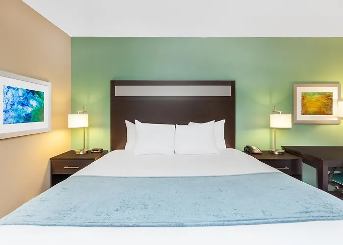 Pet Friendly hotel: Baymont By Wyndham Midland Center