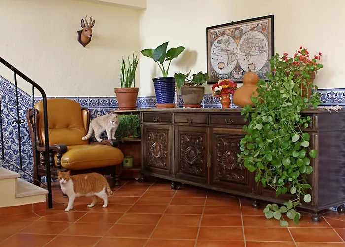 Vila Graciosa - Tranquility Oasis