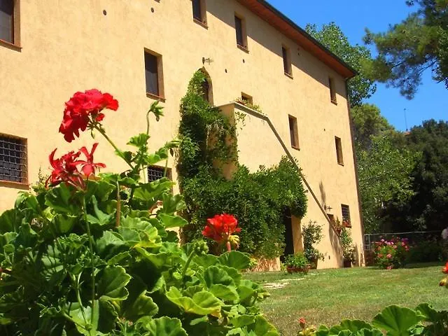 Lupo Vecchio