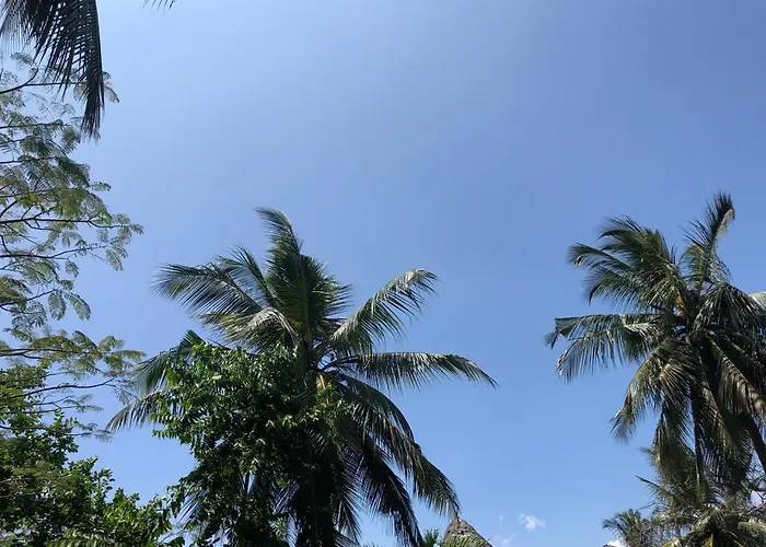 Villa Madinina