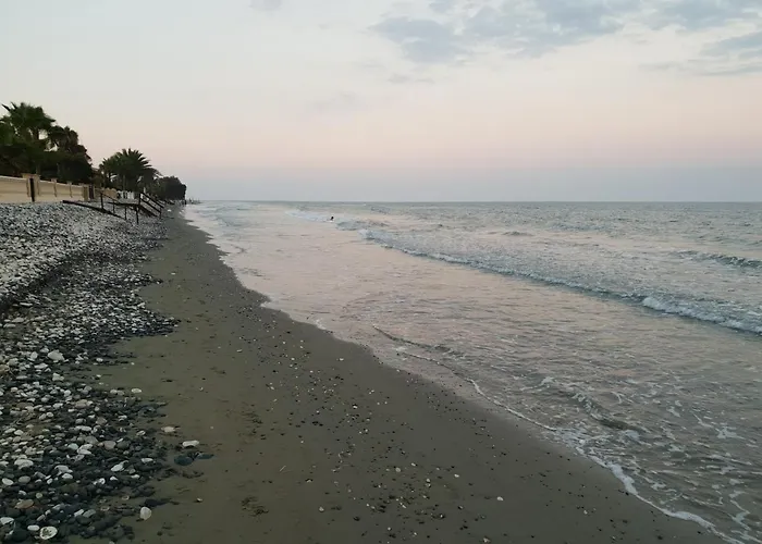 Oasi Rejuve Villa